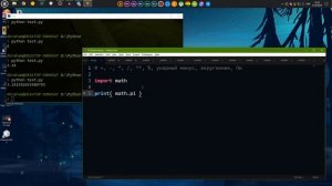 Учим Python за 1 час! #От Профессионала