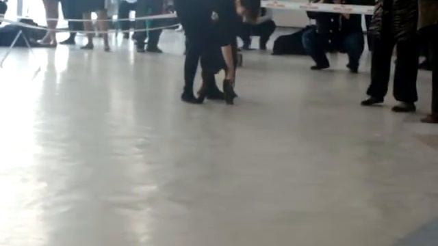 Всероссийская выставка собак. смотреть онлайн