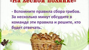 Экологическая игра-викторина "Путешествие в удивительный мир природы"
