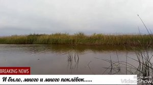 Ловля карася в Тамбовской области