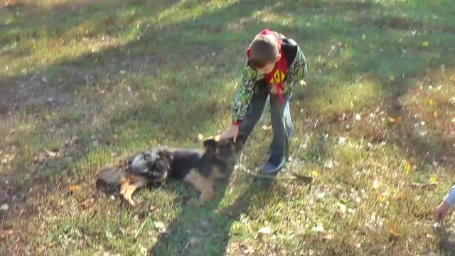 День добра в городском центре содержания животных смотреть онлайн