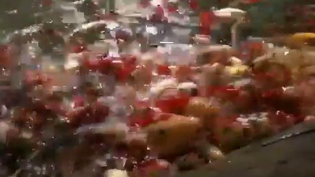 Океанариум. Адлер.