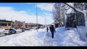 Как попасть на Камчатку | Мой опыт | Жизнь на Камчатке | Легко ли найти на Камчатке работу |