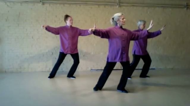 T'ai Chi Ch'uan and Chopin concerto #2 in F minor смотреть онлайн