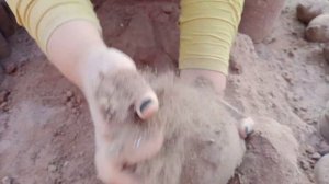 ASMR: New/ Pure Cement mix Red Sand Dry Crumbling#asmr #crumbling #sandcementasmr