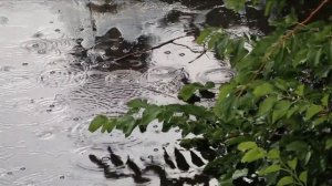 Моцарт - "Музыка дождя" Mozart - "Music of the Rain"
