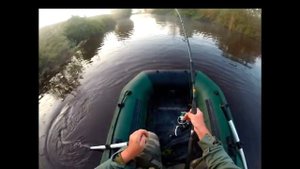Сом на спиннинг. Whopper plopper в деле.