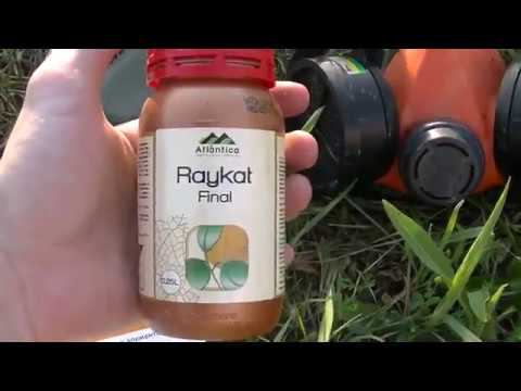 Чем кормить клубнику. Листовые и Корневые подкормки