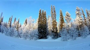 Недельная рыбалка в тайгу за хариусом...