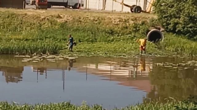 Косят зайцы камыш смотреть онлайн