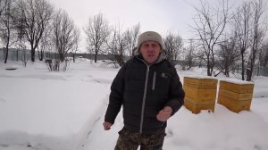 ГРУБЫЕ ОШИБКИ ПЧЕЛОВОДА ПРИ ЗИМОВКЕ ПЧЁЛ.
