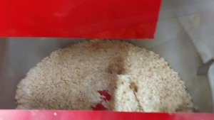 Бункер c ворошителем автоматизированных твердотопливных котлов PROTON