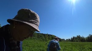 Cобираем cъедобные пиканы.