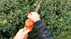 Black & Decker Cordless Yard Tools Review - Chain saw, hedge trimmer and weed whipper