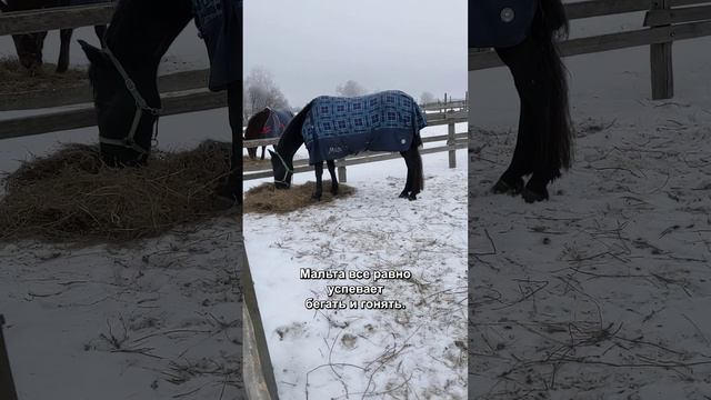 Сегодня утром погода фуфуфунька.