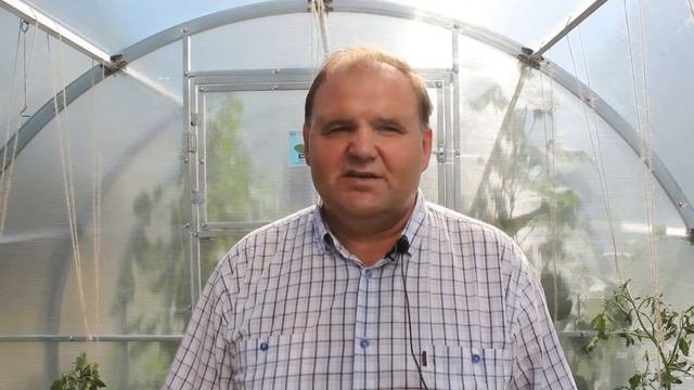 Выращивание помидоров (томатов) в теплице - Идеальный огород. Часть 7
