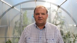 Выращивание помидоров (томатов) в теплице - Идеальный огород. Часть 7