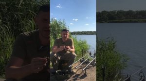 Выбираем снаряжение для ловли карпов