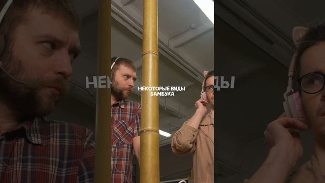 БАМБУКОВЫЕ ФАКТЫ - Можно ли услышать как растет бамбук? #крастер