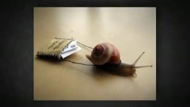 Самбери. Интернет-магазин - миф или реальность. 2013 смотреть онлайн