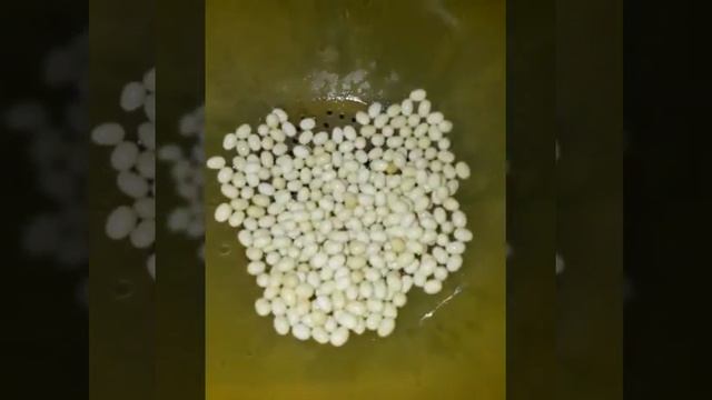 Подготовка к инкубированию яиц ахатин смотреть онлайн