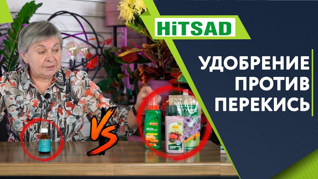 Перекись Водорода ПРОТИВ Удобрений Для Растений ✔️ Советы От Хитсад ТВ