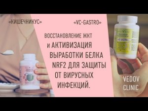 Восстановление ЖКТ при вирусных инфекциях. Кишечникус и VC-Gastro от доктора Ведова