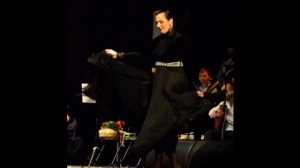 Благодарность Елене Ваенге за апрельские концерты от краснодарцев