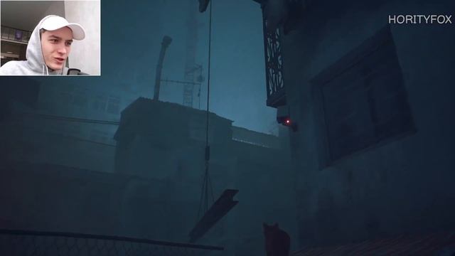 ИГРАЕМ ЗА КОТА ➜ Stray #1 смотреть онлайн