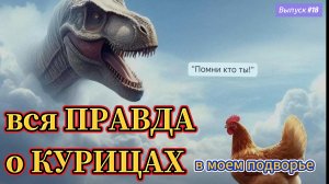 #18 ЗАВОДИ не откладывай! Куры Ломан Браун. Итоги года.
