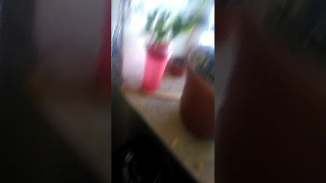 если нет разницы зачем платить больше