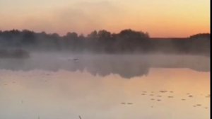 "ХОЧЕТСЯ ВЕРИТЬ В ХОРОШЕЕ", Дмитрий Ноябрьск. Всем мира и добра!