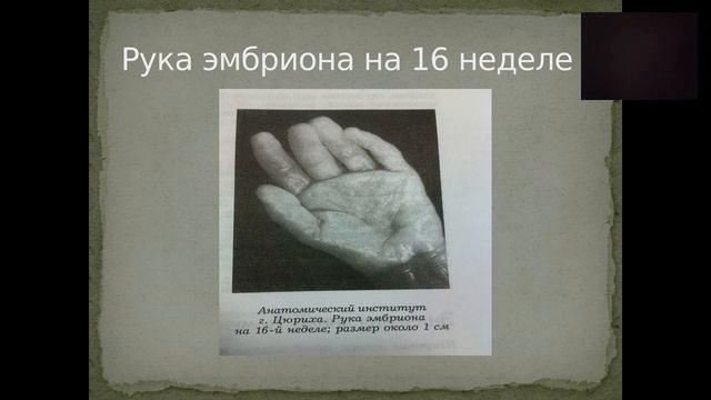 Коррекционная хиромантия. Открытая лекция