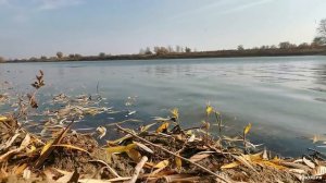 АСТРАХАНСКАЯ РЫБАЛКА. КИГАЧ 2020 НОЯБРЬ.