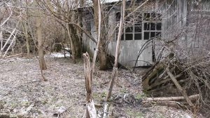 Через 30 лет вернуться в Ельково