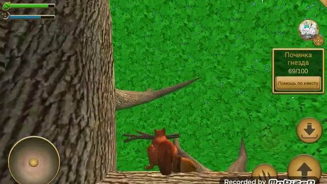 Играем в симулятор белки!!!! Я ленивая жопа :| смотреть онлайн