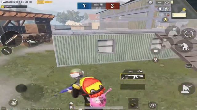 В мире животных 😇 смотреть онлайн