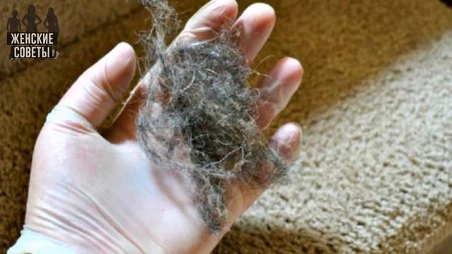 Как быстро убрать шерсть в доме: 5 эффективных способов! смотреть онлайн