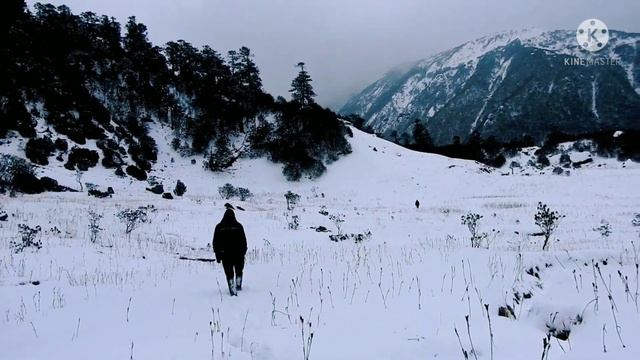 Part 2 |Kyongnosla Expedition|Camera trap|Sikkim Coniferous Forest| Sikkim hike. смотреть онлайн