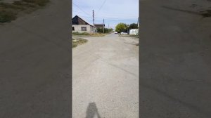 Волгоградская обл. Средняя Ахтуба.