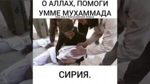 О Аллах помоги умма Мухаммада...!!!