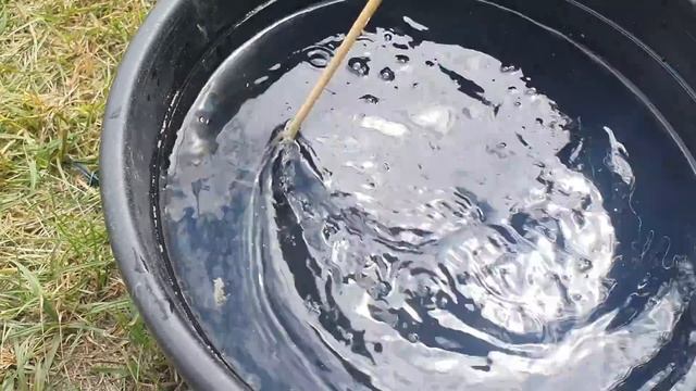 ОГУРЦЫ НИКОГДА НЕ БОЛЕЮТ, БОЛЕЕ 40 ЛЕТ ПРИМЕНЯЮ ТОЛЬКО ЭТО! ДЕЛЮСЬ С СЕКРЕТОМ смотреть онлайн