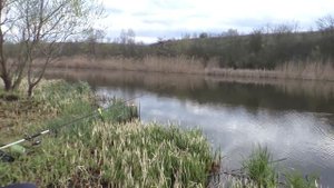 Рыбалка на пружины Ловля карася на реке. My fishing