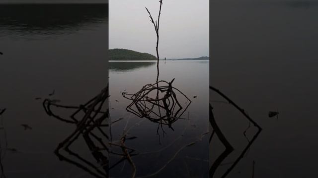 Barvi Dam Badlapur #shorts #road #nature #badlapur  #india #travel