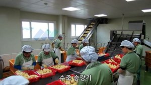 Чистка и вакуумная упаковка картофеля