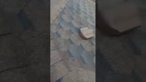 Вальмовая (сложная) крыша