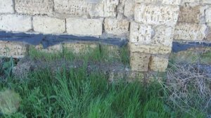 Забор из ракушки. Где ошибка?