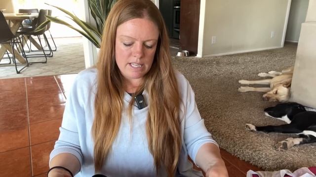 53 Item Thrift Haul From Los Angeles! смотреть онлайн