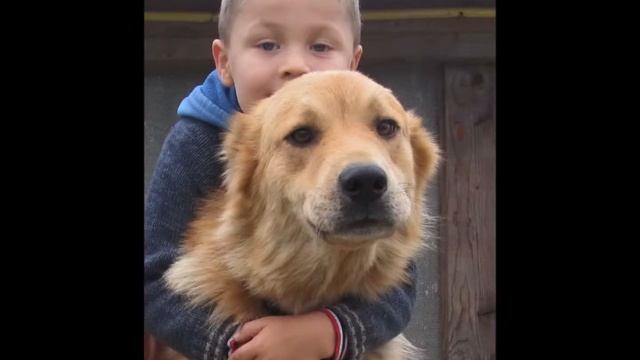 World Animal Day 2018 смотреть онлайн