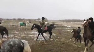 Поход на лошадях, Лошади Чечне